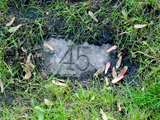 Faribault numbered grave markers